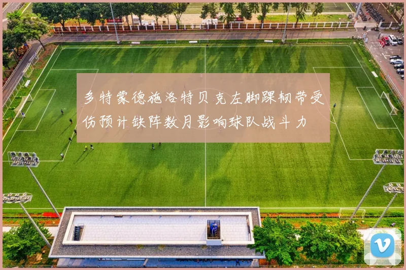 多特蒙德施洛特贝克左脚踝韧带受伤预计缺阵数月影响球队战斗力