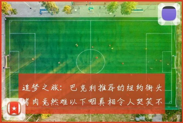 追梦之旅：巴克利推荐的纽约街头烤肉竟然难以下咽真相令人哭笑不得